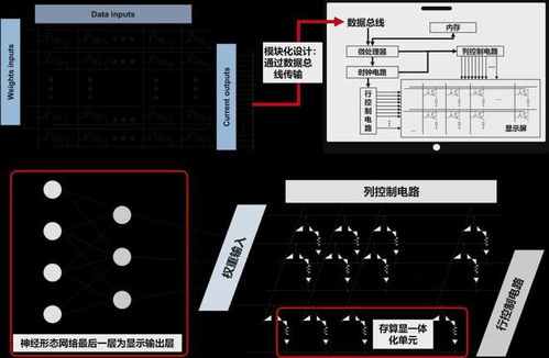 有機智能材料與器件?？?光電器件的前沿與展望